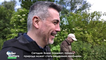 Как Фландрия с помощью природы предотвращает разрушительные наводнения