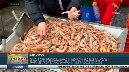 Sector pesquero mexicano es clave para exportar camarón a EE.UU.