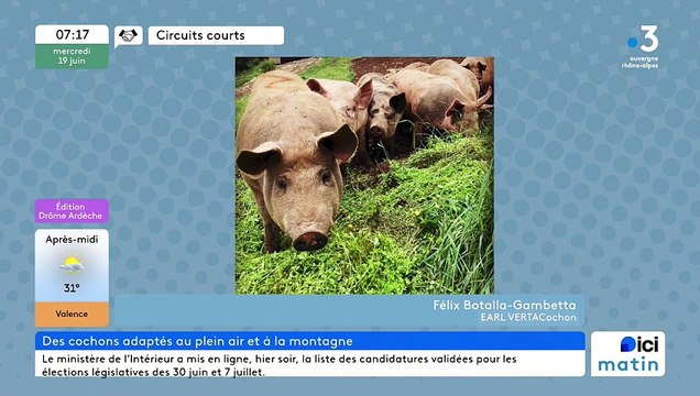 À La Chapelle-en-Vercors, VERTACochon, des porcs plein air, des viandes et charcuteries de grande qualité
