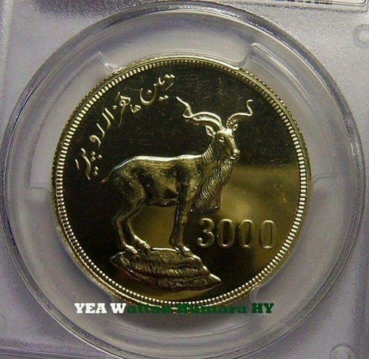 Rs 3000 Coin