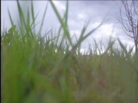 Régis joue au ballon