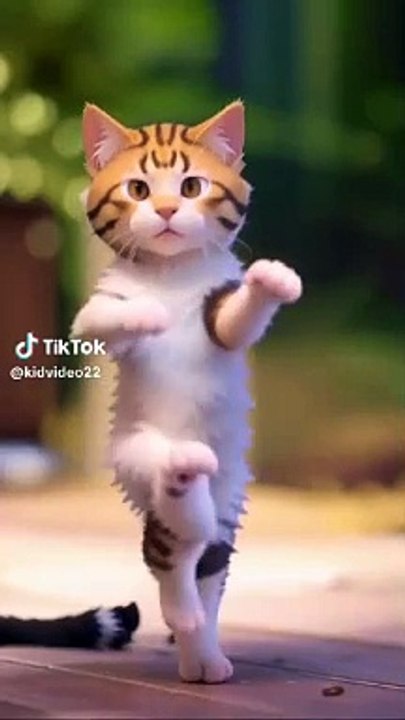 1000002856