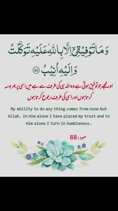 میں اسی پر بھروسہ کرتا ہوں اور اسی کی طرف رجوع کرتا ہوں