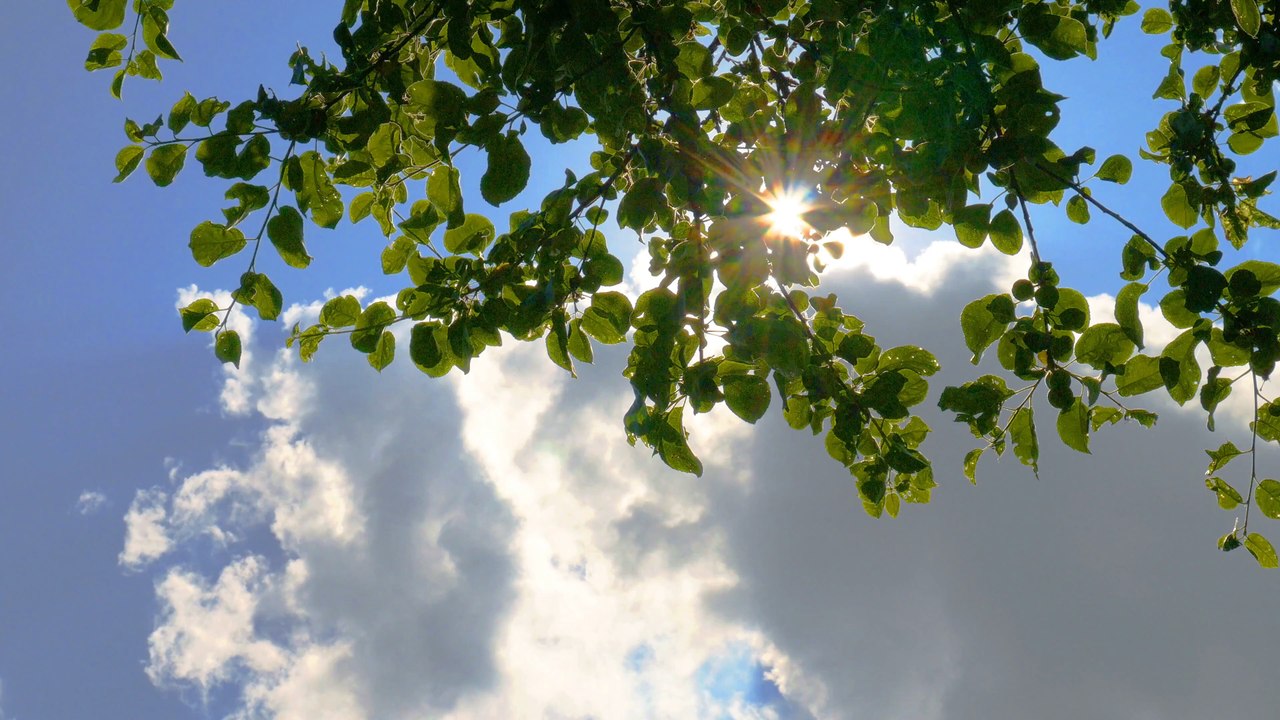 Glastonbury: Will it be sunny?