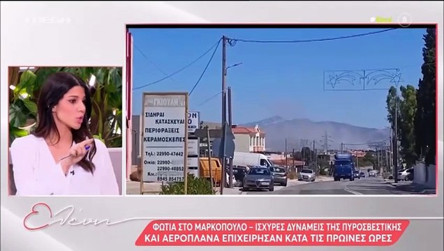 Μενεγάκη για τη φωτιά στην Κάρυστο: «Έχουμε σπίτι. Είναι δραματικό! Τόσο κρίμα»