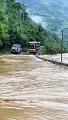 Trending Bus Driver In Action