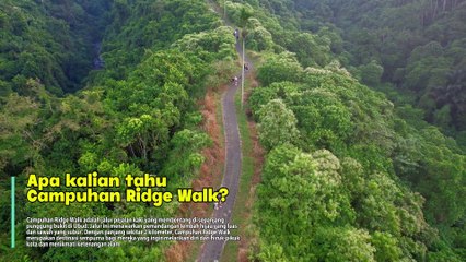 Campuhan Ridge Walk: Hidden Paradise in Ubud