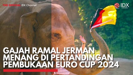 Gajah Ramal Jerman Menang di Pertandingan Pembukaan Euro Cup 2024