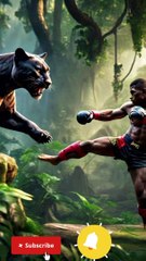 Jungle Joust: When Cats Collide! 