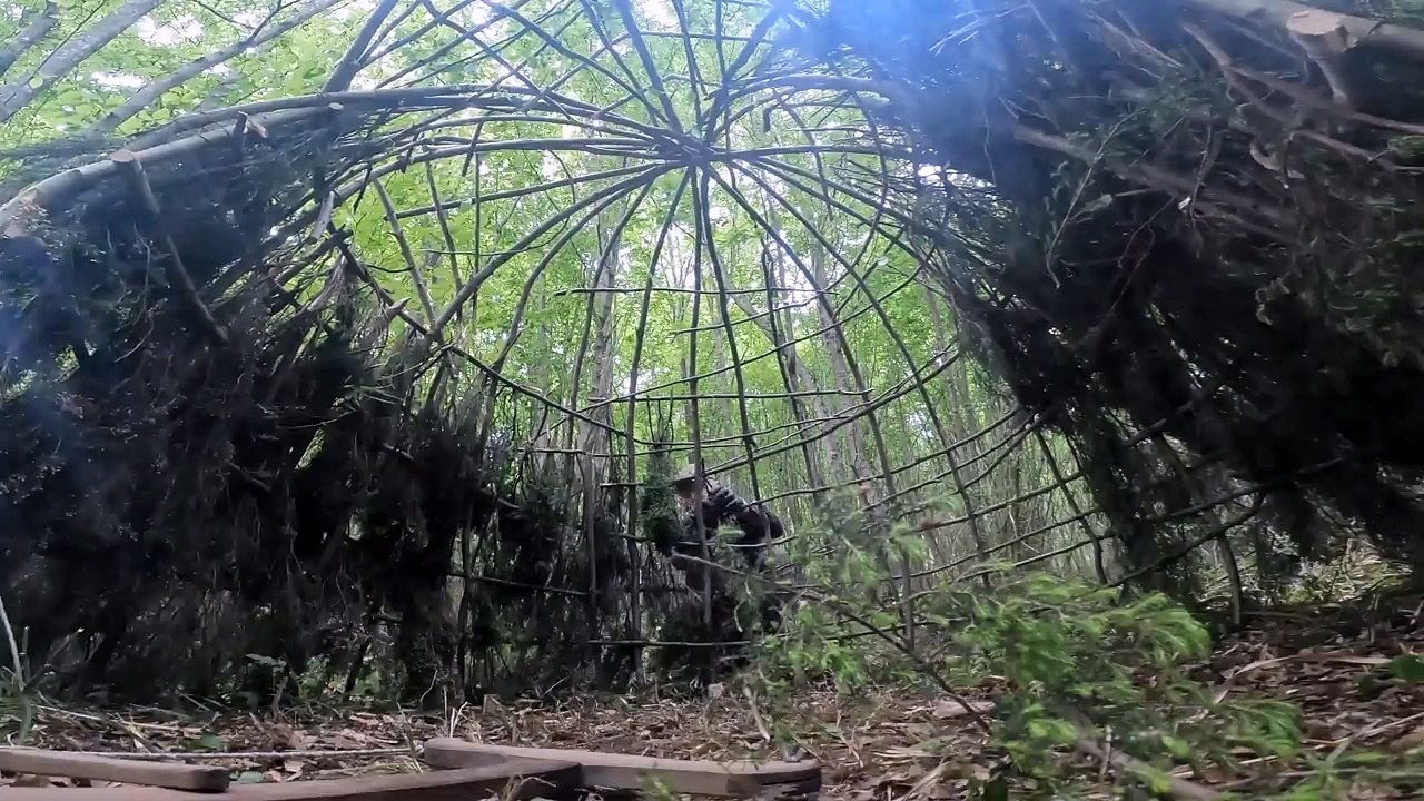 Building a Survival Shelter in a Forest - Camp food from natural herbs|بناء مأوى للبقاء في الغابة - طعام المخيم من الأعشاب الطبيعية|जंगल में एक जीवन रक्षा आश्रय का निर्माण - प्राकृतिक जड़ी बूटियों से शिविर भोजन