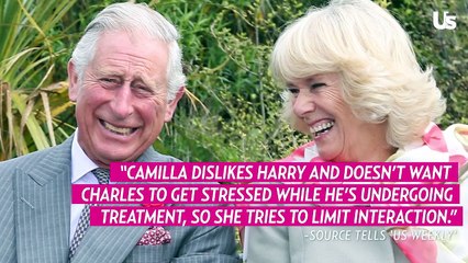 King Charles III feels torn between Queen Camilla and Prince Harry