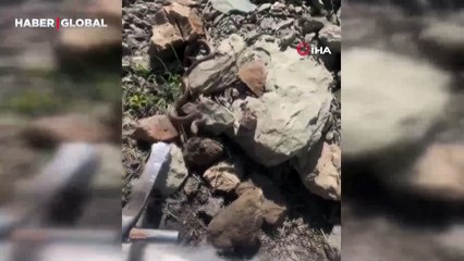 Türkiye'nin en zehirli yılanı ile karşı karşıya geldiği anları paylaştı, böyle kovaladı