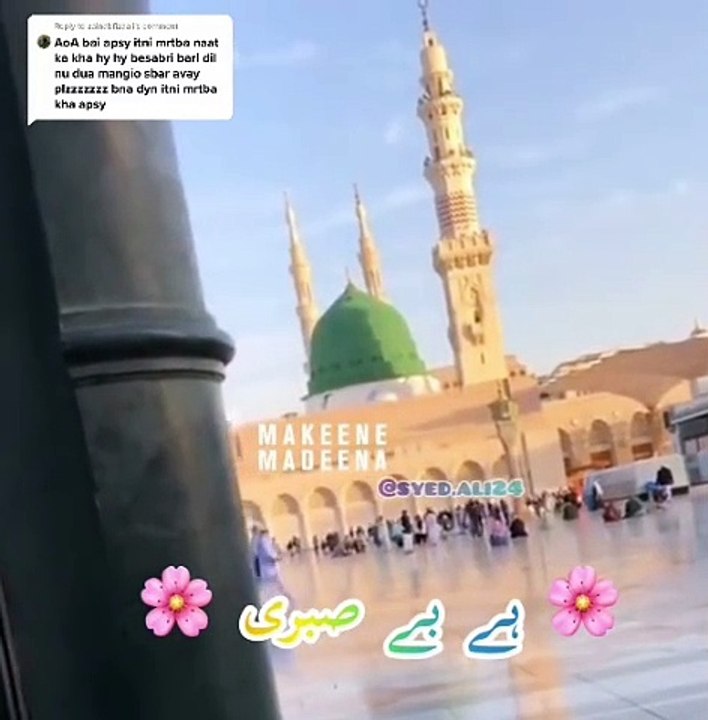 NAAT, Shortsvideo