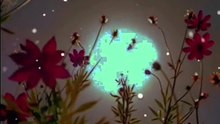 Islamicvideo