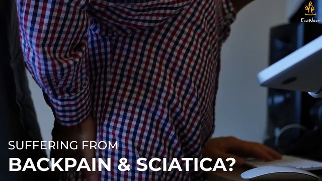 EcoNour Seat Cushion for Pressure Relief (2 Pack) _ Alleviate Sciatica and Tailbone Pain, Back Pain