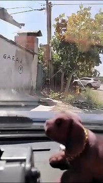 Sinop - Erfelek yolunda trafik kazası