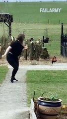 Hen Attacking moments and entertainment.