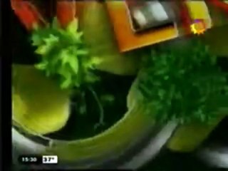 ID Canal 9 Resistencia (Verano 2013)