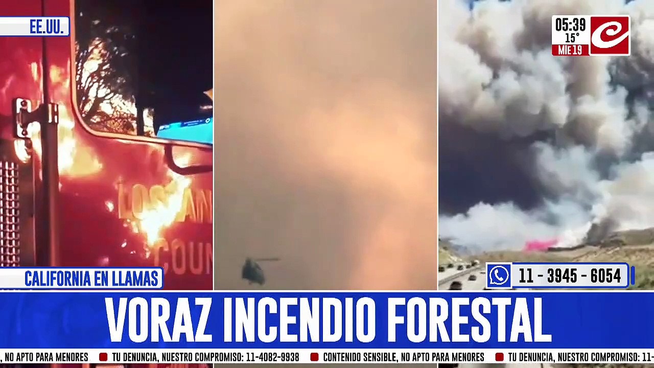 California en llamas: hay 20.000 hectáreas de bosque quemadas