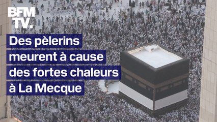 Au moins 550 personnes meurent à cause des fortes chaleurs à La Mecque
