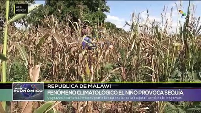 Impacto Económico Matutino | Cambio climático golpea seguridad alimentaria en África 23-04-2024