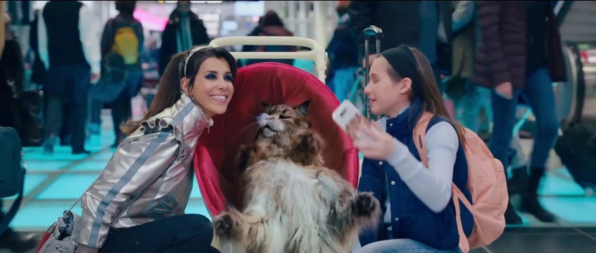 CHIEN ET CHAT - Bande Annonce VF (2024, Comédie) Reem Kherici, Franck Dubosc, Philippe Lacheau