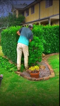 Mowing hacks|mowing tips and lawn tips #dailymotion