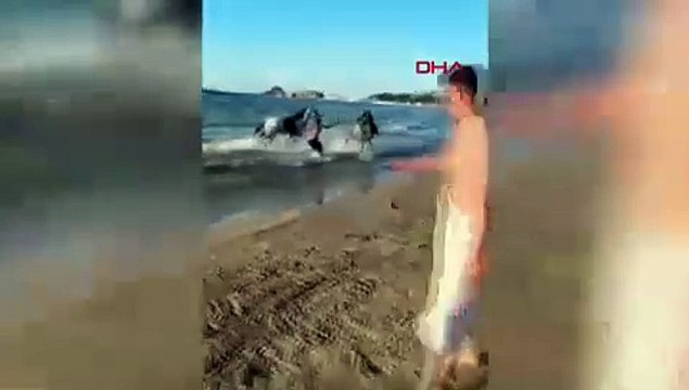 Plajda at paniği: Denize girenler neye uğradığını şaşırdı