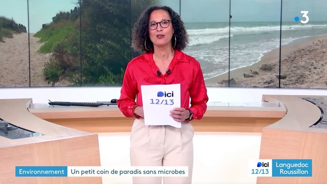 VIDEO : La plage la plus propre de France est à Marseillan plage ! Un petit coin de paradis sans microbe !