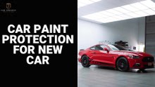 Car Paint Protection for New Car
