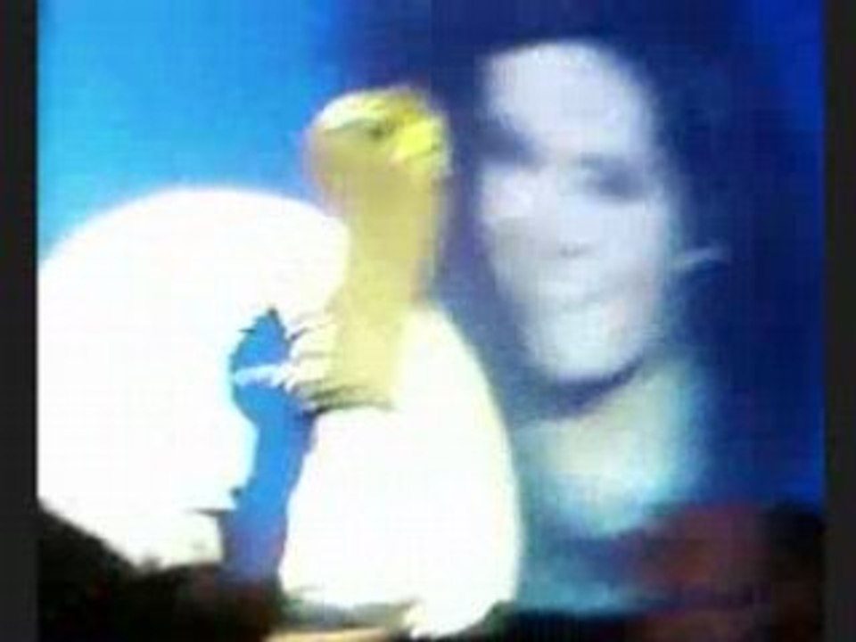 Concert TH Marseille ( Ich Bin Nicht Ich )