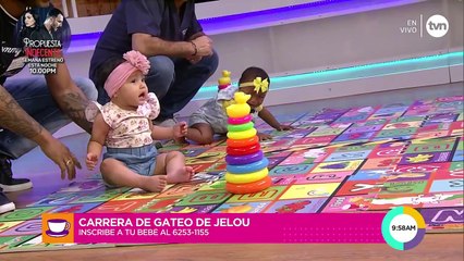 Carrera de gateo Jelou!, miércoles 19 de junio