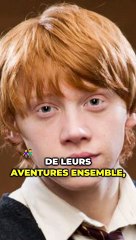 Ron amoureux de Harry ? La théorie qui affole les Potterheads