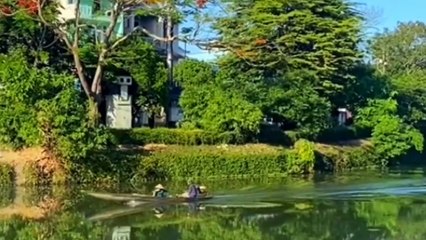 Đây thôn Vỹ Dạ - Tác giả Hoàng Thanh Tâm, thơ Hàn Mặc Tử