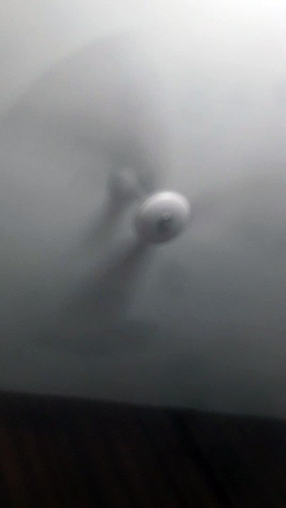What about this Fan