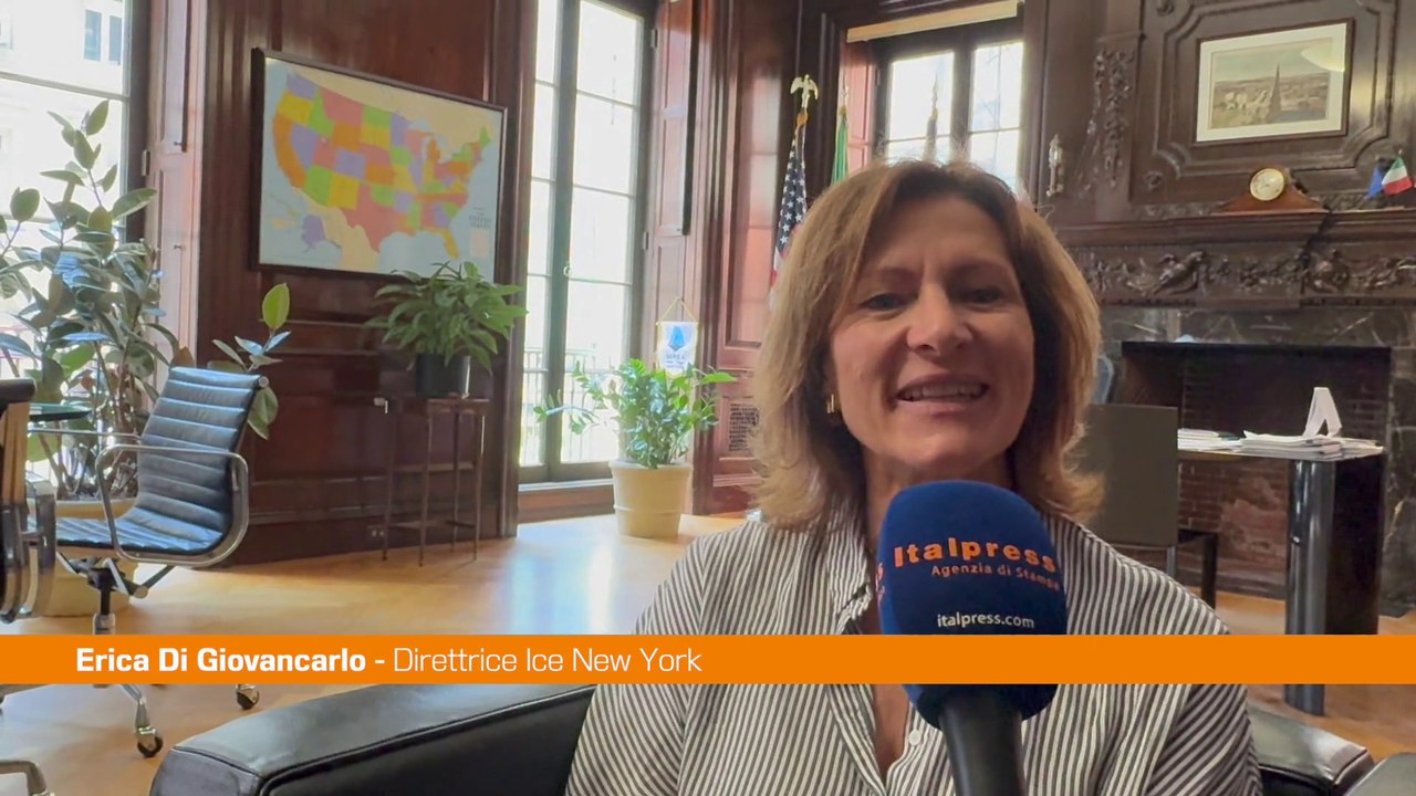 Commercio estero, Di Giovancarlo "Cresce export di qualità negli Usa"