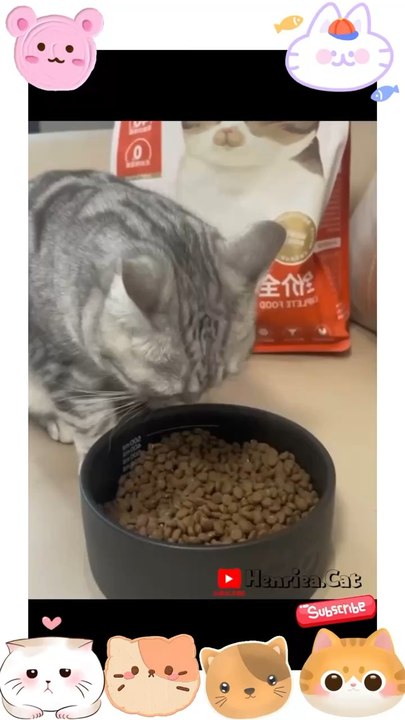 Inilah video terbaru saya