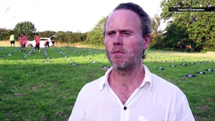 Could This Be a More Environmentally Safe Alternative to Fireworks?