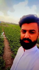 Atif Ali Shorts & Vlogs