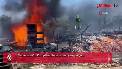 Yunanistan'da orman yangını! Bölge sakinlerine tahliye emri