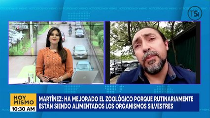 Martínez: 'Esta descartada la eutanasia'