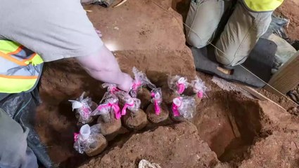 Archaeologists make spectacular discovery in George Washington’s Mount Vernon home