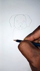 How to draw dog tricks #viral #dailymotoin