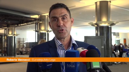 Ue, Vannacci "La mia missione durerà cinque anni"