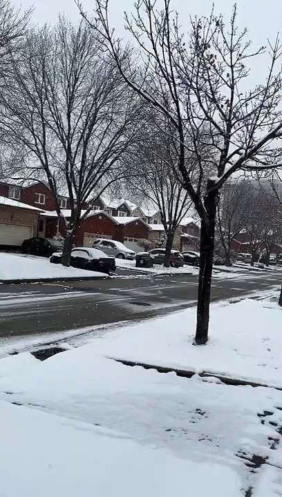 Snowfall Canada #canada #shorts #videos #viral #shorts #trending