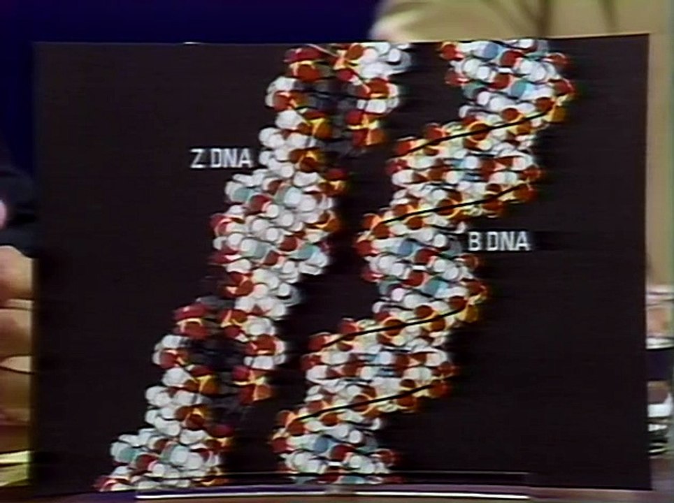 Space Bridge to Moscow | Full Documentary | NOVA | PBS