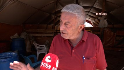 Ankara'da besicilerden elde kalan kurbanlıkları alacak ESK'ya çağrı: "Vereceği fiyat piyasanın altında kalmamalı"