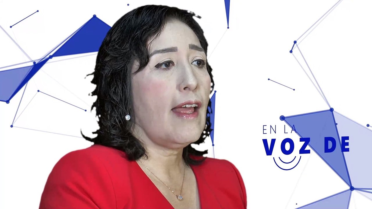 En la voz de Araceli Martínez, Comités de movilidad