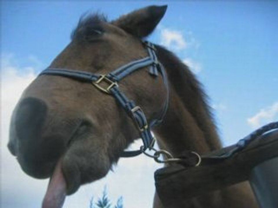 Diva dans tout ses états !