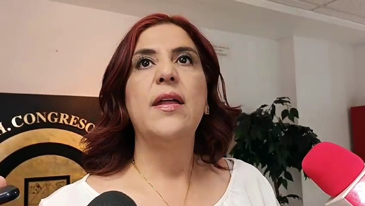 Beatriz Cota Ponce, presidenta de la diputación permanente